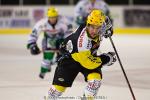 Photo hockey reportage Strasbourg / Bietigheim : Reportage photos