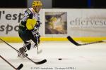 Photo hockey reportage Strasbourg / Bietigheim : Reportage photos