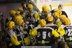 Photo hockey reportage Strasbourg / Bietigheim : Reportage photos