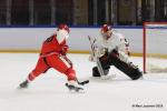 Photo hockey reportage TF - Serre-Chevalier arrache le Trophe en prolongation