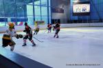 Photo hockey reportage TMR : Derby alsacien