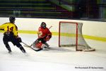 Photo hockey reportage Tournoi Senior Besanon : Premier jour