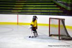 Photo hockey reportage U11 : Dos  dos