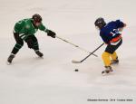 Photo hockey reportage U13 : Tournoi NHL  Tours 2014