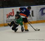 Photo hockey reportage U13 : Tournoi NHL  Tours 2014
