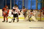 Photo hockey reportage U15 Elite : Les Dogs ont du chien