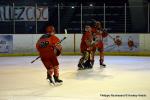 Photo hockey reportage U15 Elite : Les Dogs ont du chien
