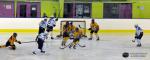 Photo hockey reportage U18 Elite A : Dijon d'un souffle