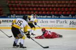 Photo hockey reportage U20 : Rouen vient dfier Grenoble  Pole Sud