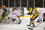 Photo hockey reportage U22 Elite Excellence : Reportage Photos