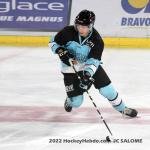 Photo hockey reportage Une premire russie  Ple Sud !