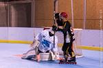 Photo hockey reportage Villard-Bonnot - Varces