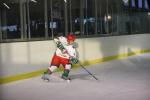 Photo hockey reportage Viry - Algrie en images