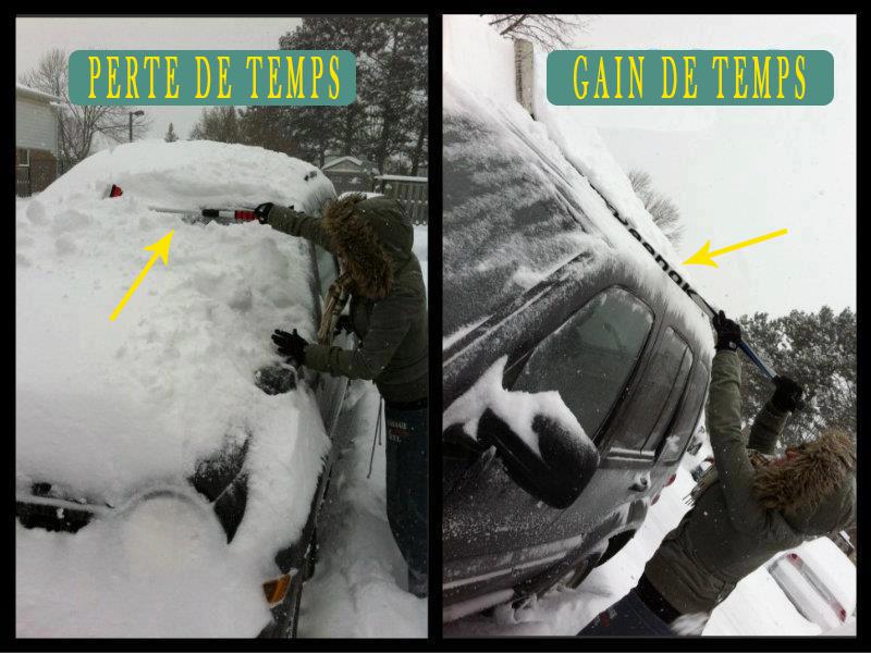 Afficher limage dorigine