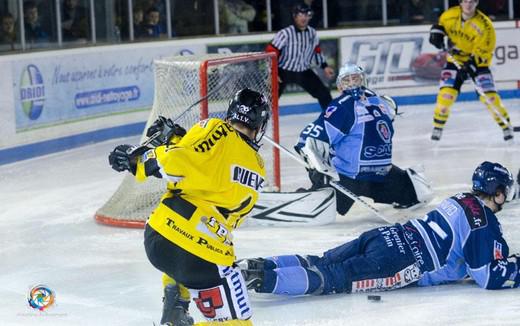 Photo hockey Coupe de France - Coupe de France 8 ème : Angers  vs Rouen - Reportages photos  et Vidéo