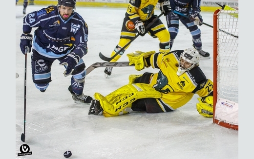 Photo hockey Division 1 - Division 1 : 12ème journée : Tours vs Chambéry - Tours s Photo hockey Division 1 - Division 1 : 12ème journée : Tours vs Chambéry - Tours s