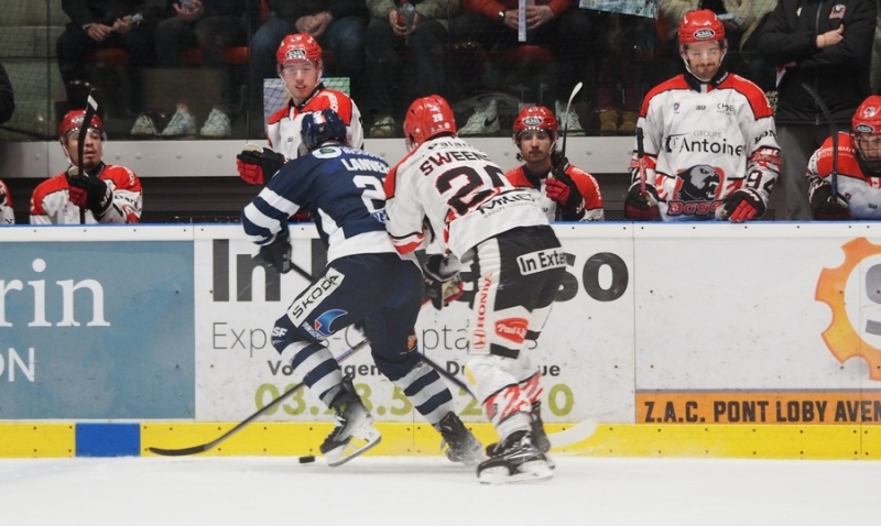 Photo hockey Division 1 - Division 1 : 13ème journée : Dunkerque vs Cholet  - Cholet s’impose dans les dernières secondes à Dunkerque