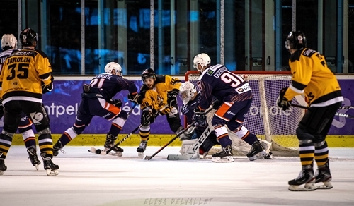 Photo hockey Division 1 - Division 1 : 16ème journée : Montpellier  vs Strasbourg  - Division 1 - J16 : Montpellier - Strasbourg