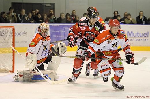 Photo hockey Division 1 - Division 1 : 17ème journée : Mulhouse vs Cholet  - Les Dogs s