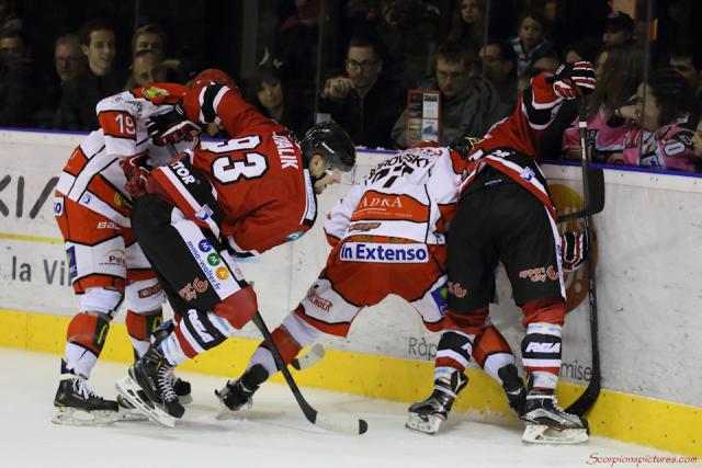Photo hockey Division 1 - Division 1 : 17ème journée : Mulhouse vs Cholet  - Les Dogs s