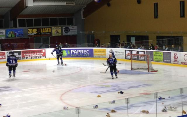 Photo hockey Division 1 - Division 1 : 17ème journée : Nantes vs Mont-Blanc - Avalanche de buts à Nantes