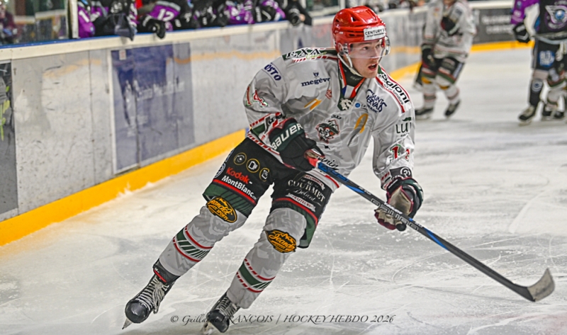 Photo hockey Division 1 - Division 1 : 18ème journée : Nantes vs Mont-Blanc - Les Corsaires de Nantes frappent fort face à Mont-Blanc