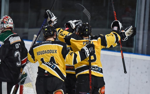 Photo hockey Division 1 - Division 1 : 21ème journée : Mont-Blanc vs Chambéry - Les Eléphants jouent un mauvais tour au Yéti !