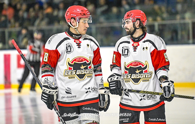 Photo hockey Division 1 - Division 1 : 21ème journée : Nantes vs Neuilly/Marne - Nantes chasse le bison