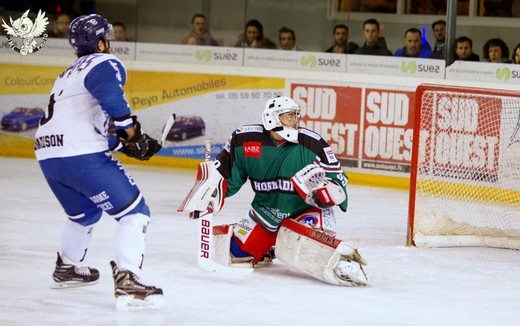 Photo hockey Division 1 - Division 1 : 21ème journée : Anglet vs Nantes - Anglet vs Nantes : Galerie photos