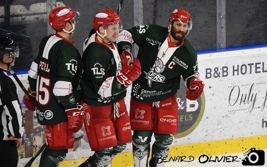 Photo hockey Division 1 - Division 1 : 21ème journée : Cergy-Pontoise vs Brest  - Les Albatros emportés par la marée verte