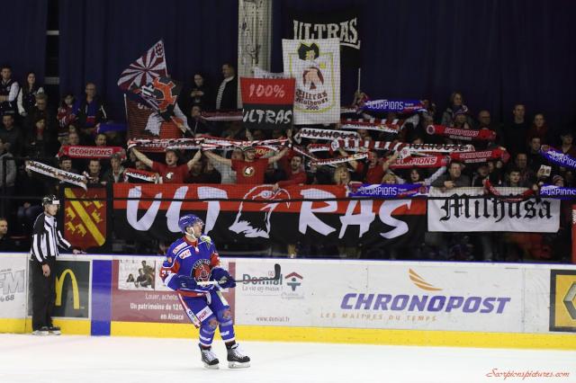 Photo hockey Division 1 - Division 1 : 25ème journée : Mulhouse vs Brest  - D1 : Mulhouse prend le large, Brest boit la tasse