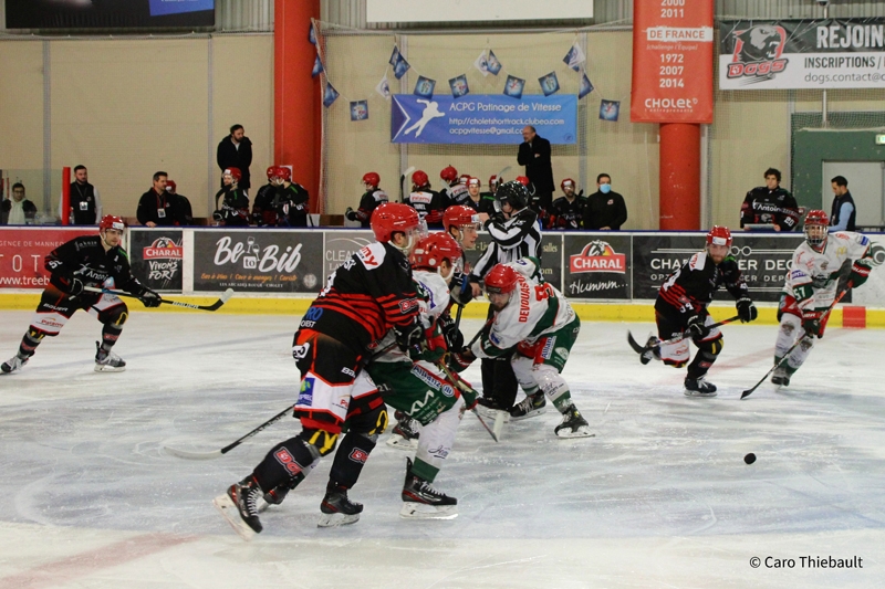 Photo hockey Division 1 - Division 1 : 26ème journée : Cholet  vs Mont-Blanc - Cholet retrouve le chamin de la victoire