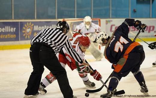 Photo hockey Division 1 - Division 1 : 26ème journée : Montpellier  vs Courbevoie  - Les Coqs chantent !