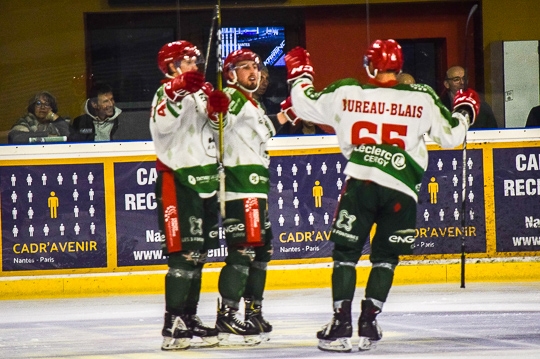 Photo hockey Division 1 - Division 1 : 4ème journée : Nantes vs Cergy-Pontoise - Nantes sombre à domicile