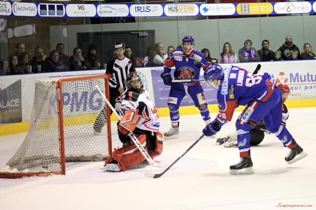 Photo hockey Division 1 - Division 1 : 6ème journée : Mulhouse vs Neuilly/Marne - Mulhouse dévore les Bisons Photo hockey Division 1 - Division 1 : 6ème journée : Mulhouse vs Neuilly/Marne - Mulhouse dévore les Bisons