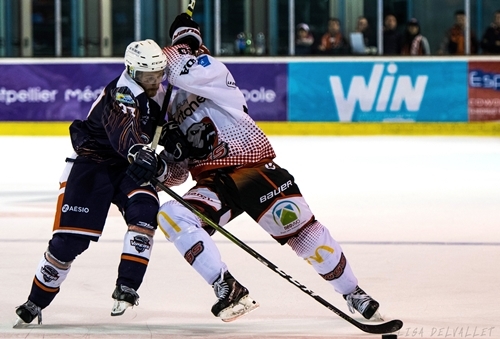Photo hockey Division 1 - Division 1 : 8ème journée : Montpellier  vs Cholet  - D1 - Montpellier ne confirme pas face à Cholet