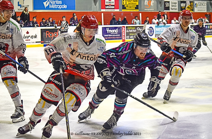 Photo hockey Division 1 - Division 1 : 8ème journée : Nantes vs Cholet  - Les Nantais chutent en prolongation