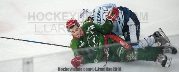 Photo hockey Division 1 - Division 1 - Un duel de prétendants + sondage