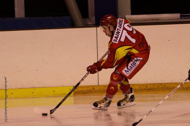 Photo hockey Division 2 - D2 : 15ème journée - B : Orléans vs Wasquehal Lille - Orléans confirme Photo hockey Division 2 - D2 : 15ème journée - B : Orléans vs Wasquehal Lille - Orléans confirme
