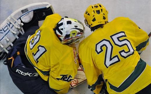 Photo hockey Division 2 - D2 : 18ème journée poule B : Meudon vs Viry Hockey 91 - Reportage photos