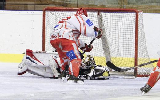 Photo hockey Division 2 - D2 : 8ème journée - B : Roanne vs Valence - Les Renards au fond du terrier