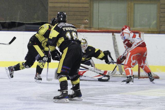 Photo hockey Division 2 - D2 : 8ème journée - B : Roanne vs Valence - Les Renards au fond du terrier