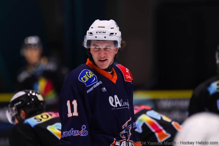 Photo hockey Division 2 - Division 2 : 10ème journée : Clermont-Ferrand vs Roanne - Clermont : Des regrets !!! Photo hockey Division 2 - Division 2 : 10ème journée : Clermont-Ferrand vs Roanne - Clermont : Des regrets !!!