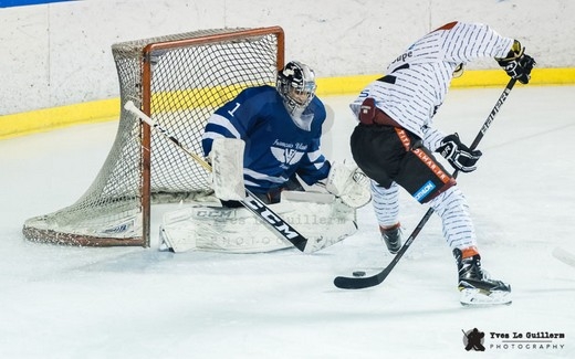 Photo hockey Division 2 - Division 2 : 11ème journée : Paris (FV) vs Colmar - Reportage photos