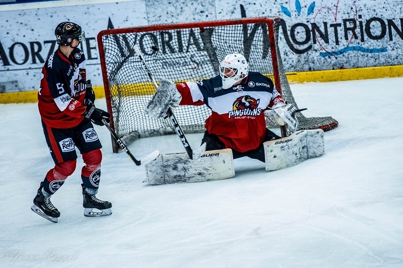 Photo hockey Division 2 - Division 2 : 12ème journée : Morzine-Avoriaz vs Clermont-Ferrand - Le Sanglier charge le Pingouin