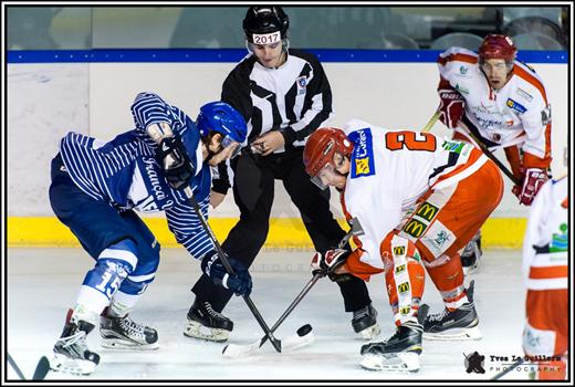 Photo hockey Division 2 - Division 2 : 12ème journée : Paris (FV) vs Amnéville - Les galaxians s