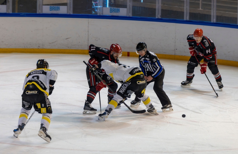 Photo hockey Division 2 - Division 2 : 13ème journée : Annecy vs Roanne - Les Chevaliers du lac frappent fort