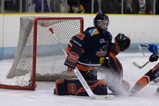 Photo hockey Division 2 - Division 2 : 14ème journée : Clermont-Ferrand vs Dijon  - Avec un dernier tiers décisif Clermont s