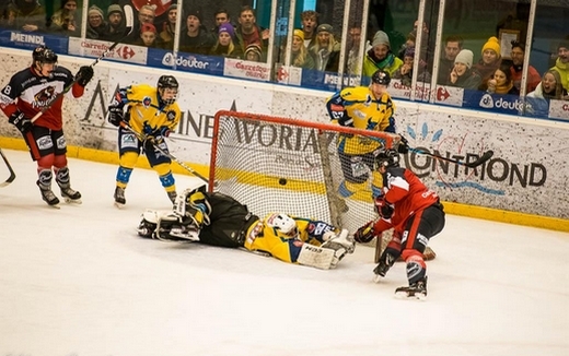 Photo hockey Division 2 - Division 2 : 14ème journée : Morzine-Avoriaz vs Limoges - Les Pingouins puissance dix