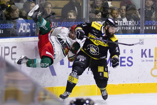 Photo hockey Division 2 - Division 2 : 14ème journée : Roanne vs Anglet II - Roanne brise l Photo hockey Division 2 - Division 2 : 14ème journée : Roanne vs Anglet II - Roanne brise l